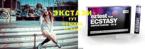 тгк Абаза