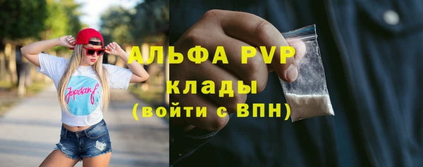 тгк Абаза
