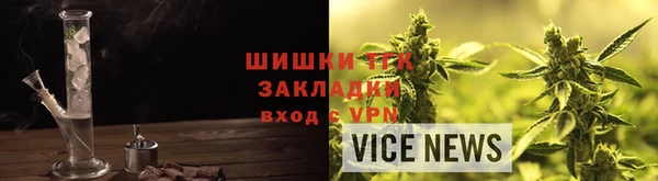 дживик Надым