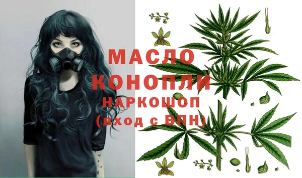 тгк Абаза
