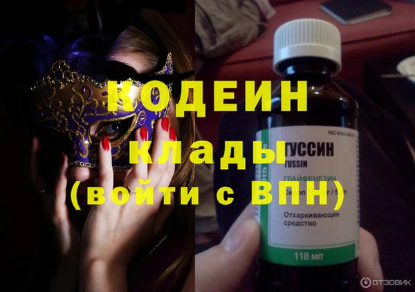 дживик Надым